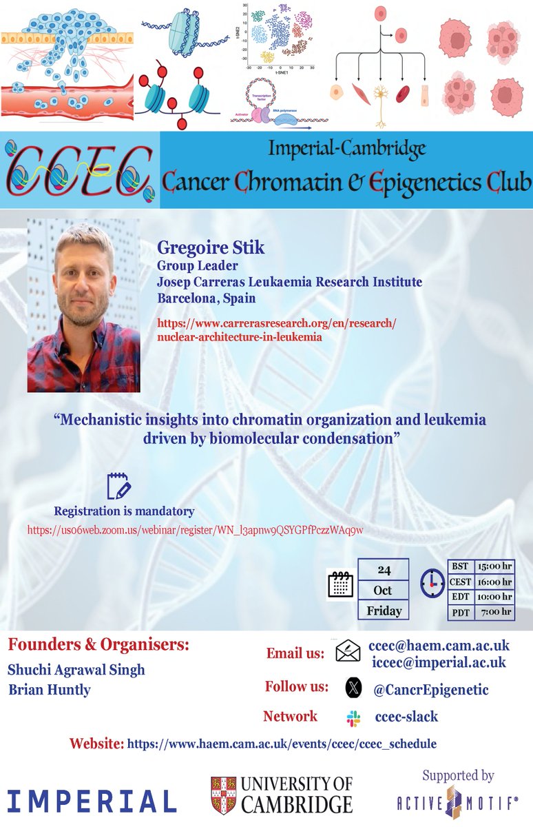 We are pleased2announce exciting autumn seminar <a href="/CancrEpigenetic/">CambridgeCancerEpigeneticClub</a> platform 24Oct🗓️<a href="/3PM/">Sexual GIF</a>🕒UK🇬🇧 Gregoire Stik from <a href="/CarrerasIJC/">Josep Carreras Leukaemia Research Institute (IJC)</a> will present how chromatin  organization and biomolecular condensation work hand in hand in  leukaemia another aggressive cancer 👇us06web.zoom.us/webinar/regist…