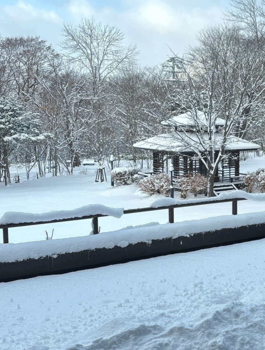 승무원하면서 많은 곳을 가봤지만 
겨울의 삿포로는 정말 특유의 분위기가 있음 ❄️❄️ 꼭 가보셔요❄️❄️🩵