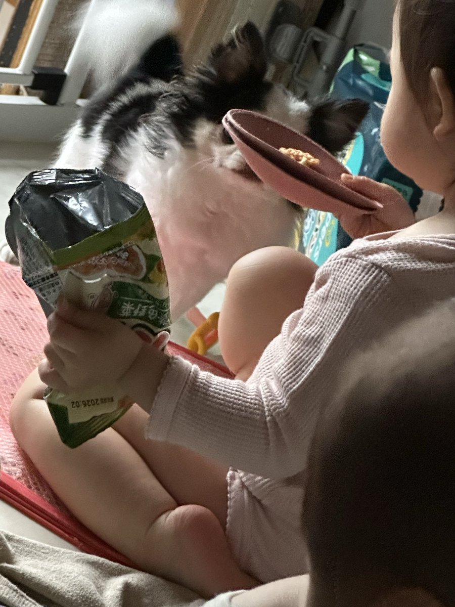 ねぇwwwwwwww
ママのブラパットお皿にしてお菓子食べないでwwwwwwwwwwwwwwwwwwww
