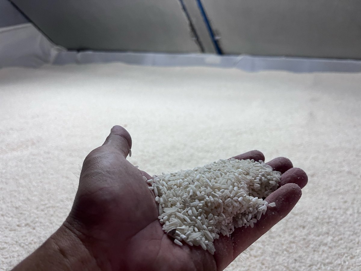 takapipi0818's tweet image. 製造始まったから忙しくなるなー！
土曜は村民運動会もあるしな
日曜に天気良ければ釣り行こうっと