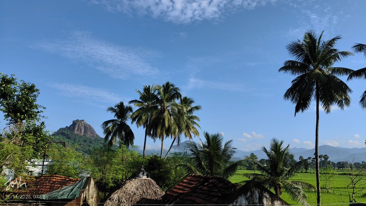 Rebelgirl101124's tweet image. Yes 💚✨ #peace #nature #villagevibes