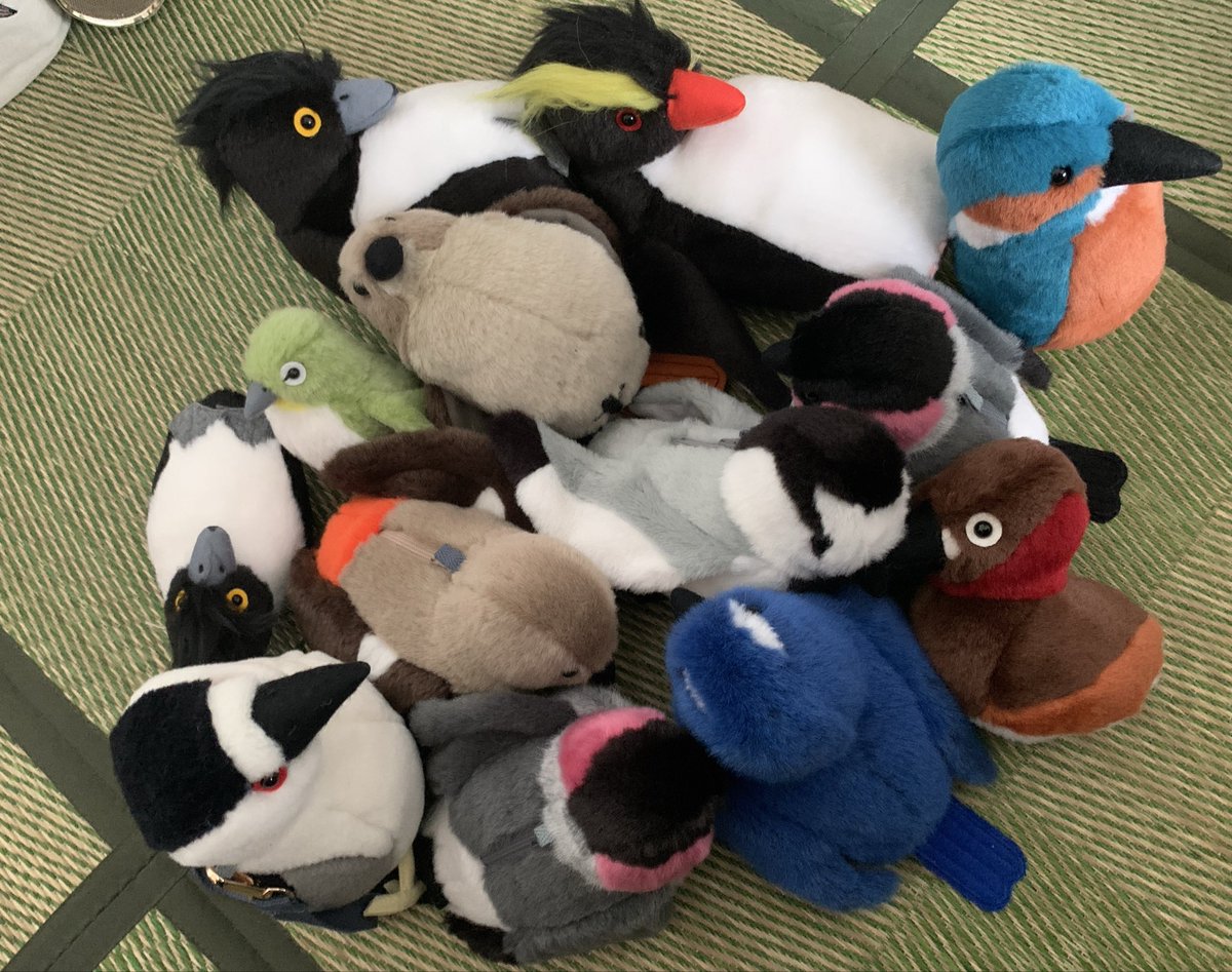 maribono's tweet image. 今週末は、#いきもにあ2025 みやこめっせ!
無事荷物も、むぎゅっと送り出しました。
もふもふとり工房のラインナップは、こんな感じです。
野鳥たぬきペンギンが溢れており、「果たして机にのるのか⁉️」と、今考え中です。
みなさま、京都でお待ちしてます🦆🐧🐼