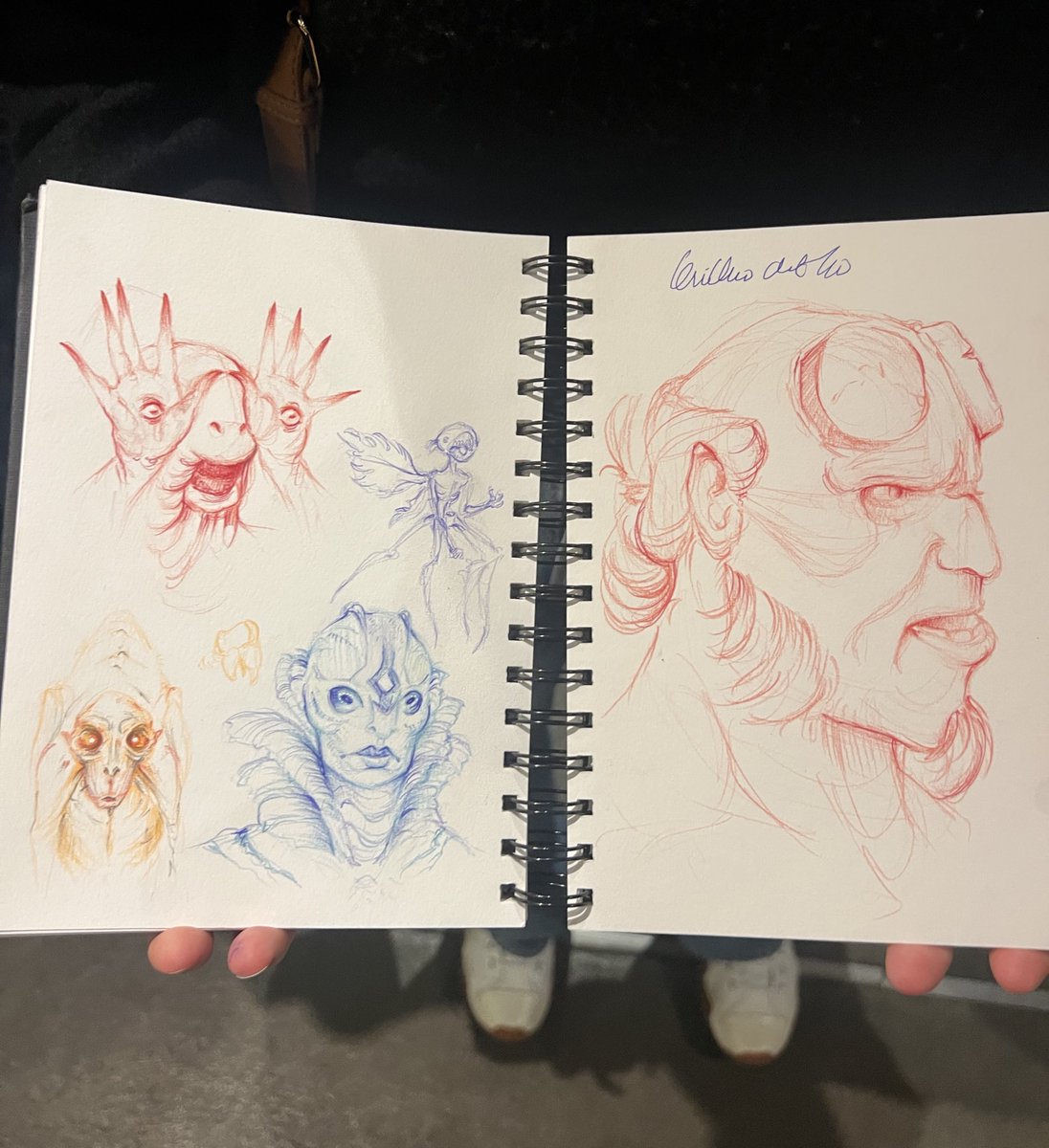 On en parle du talent de cette jeune femme qui a dessiné ça dans le train, en venant à #Lumière2025, pour le faire signer par Guillermo Del Toro ?

Lequel a été émerveillé ! 🥰😍