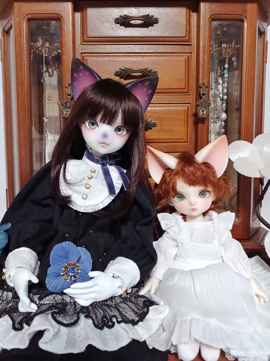 ねことねこ

#DearMine