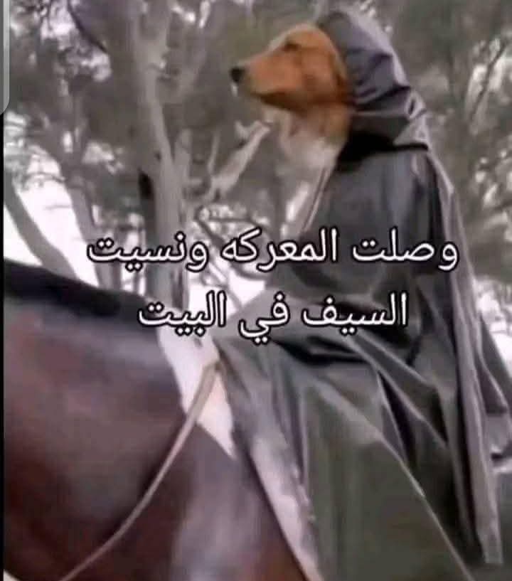 بعد ماتبتدي تستوعب حاجات كتير😂
صباح التفاؤل🌻