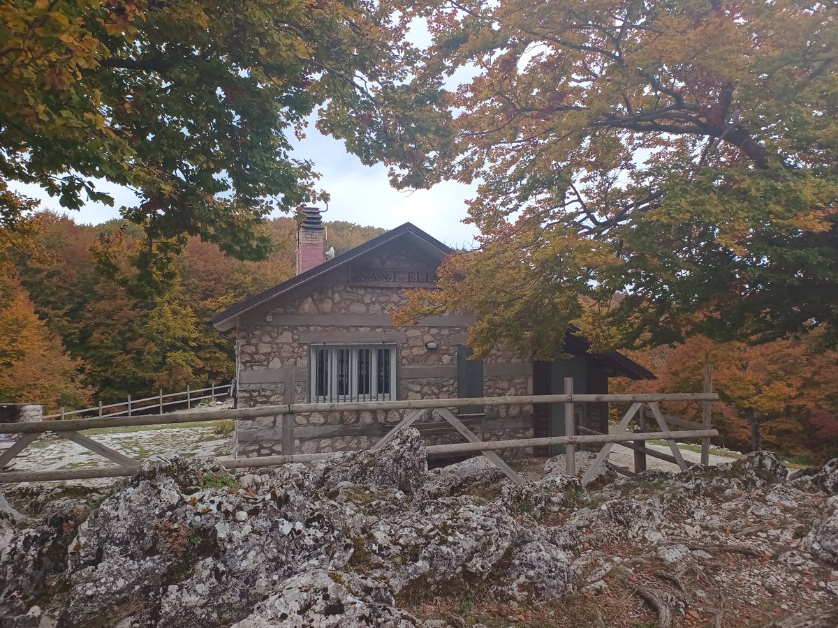 lteritaly's tweet photo. 🌳 October 15th, RiViVe transdisciplinary residency.
Exploring the #LTERItaly research site of Collelongo- Selvapiana and the beech forest: https://t.co/Zg1DT7NBHI
#eltercommunity #beechforest #Italy https://t.co/6cviZxKo0j