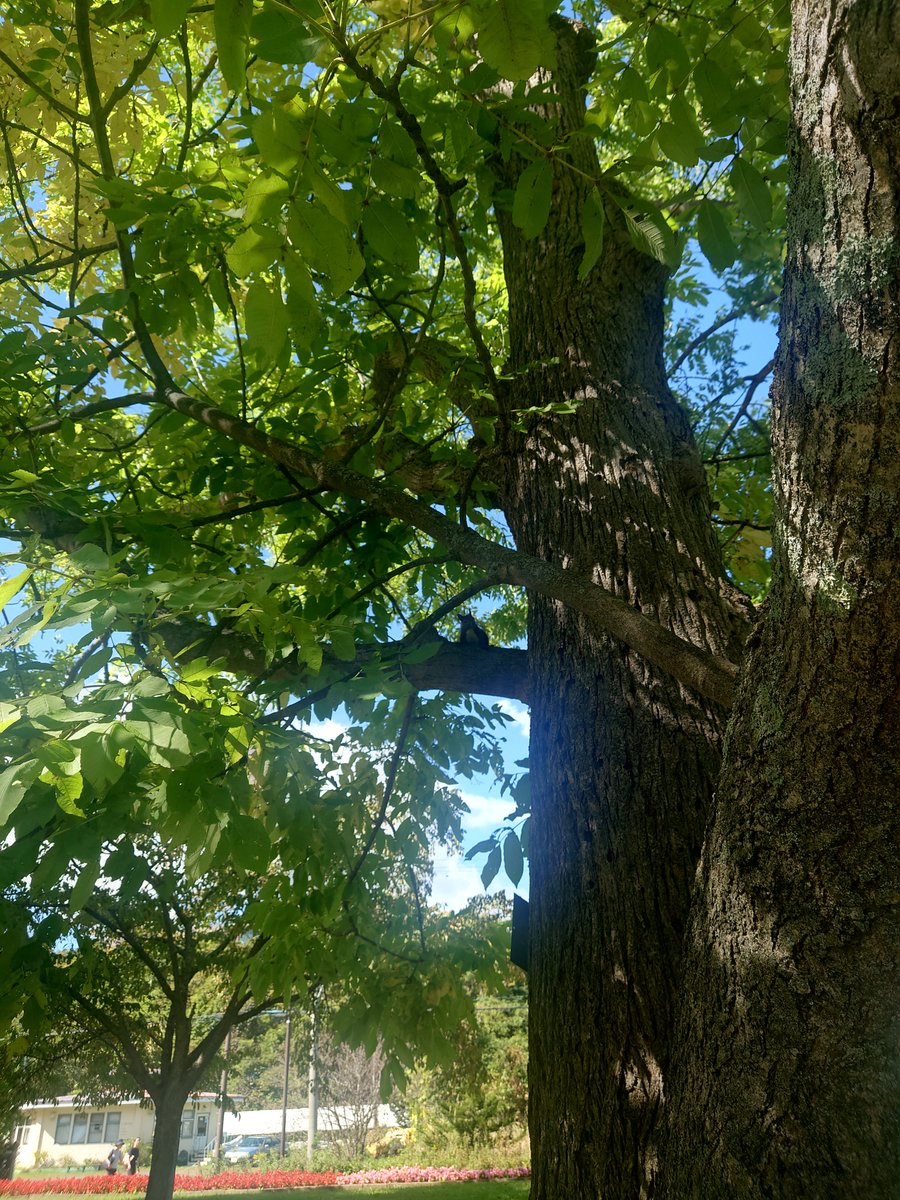 sunagastore's tweet image. おはようございます
10月17日は　＃貯蓄の日
勤労の実りを大切にし、貯蓄に対する関心を高め、貯蓄の増進を図ることが目的です

本日もよろしくお願いいたします😊
✅企業公式相互フォロー
✅フォロバ100変垢以外