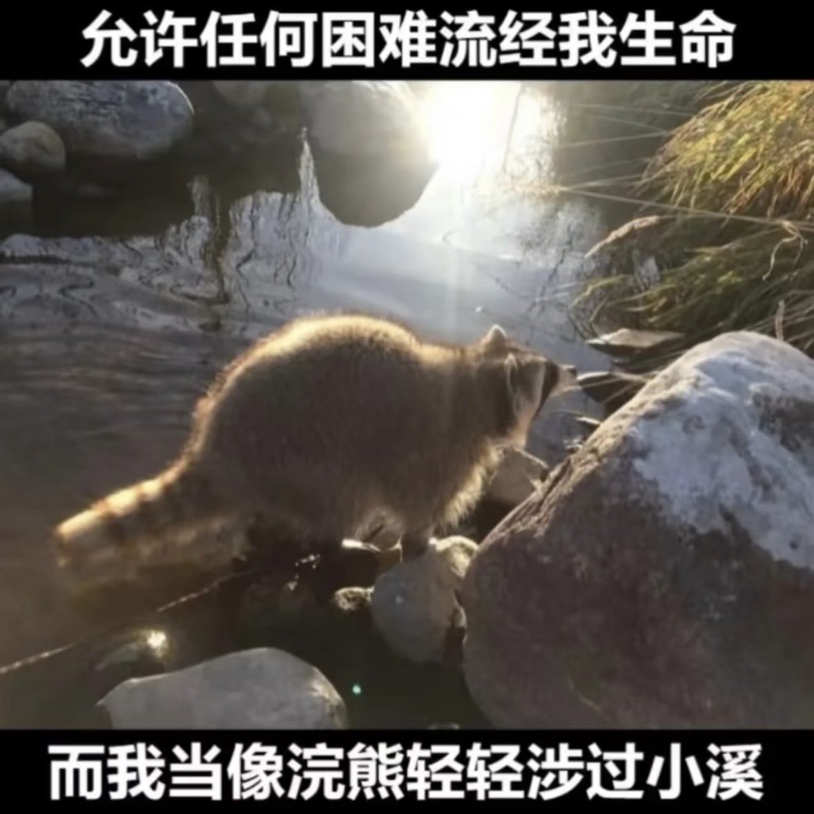 xdeon | BIP-420 🐱 $TSG 🏝️ (@jonathonjostar) on Twitter photo 