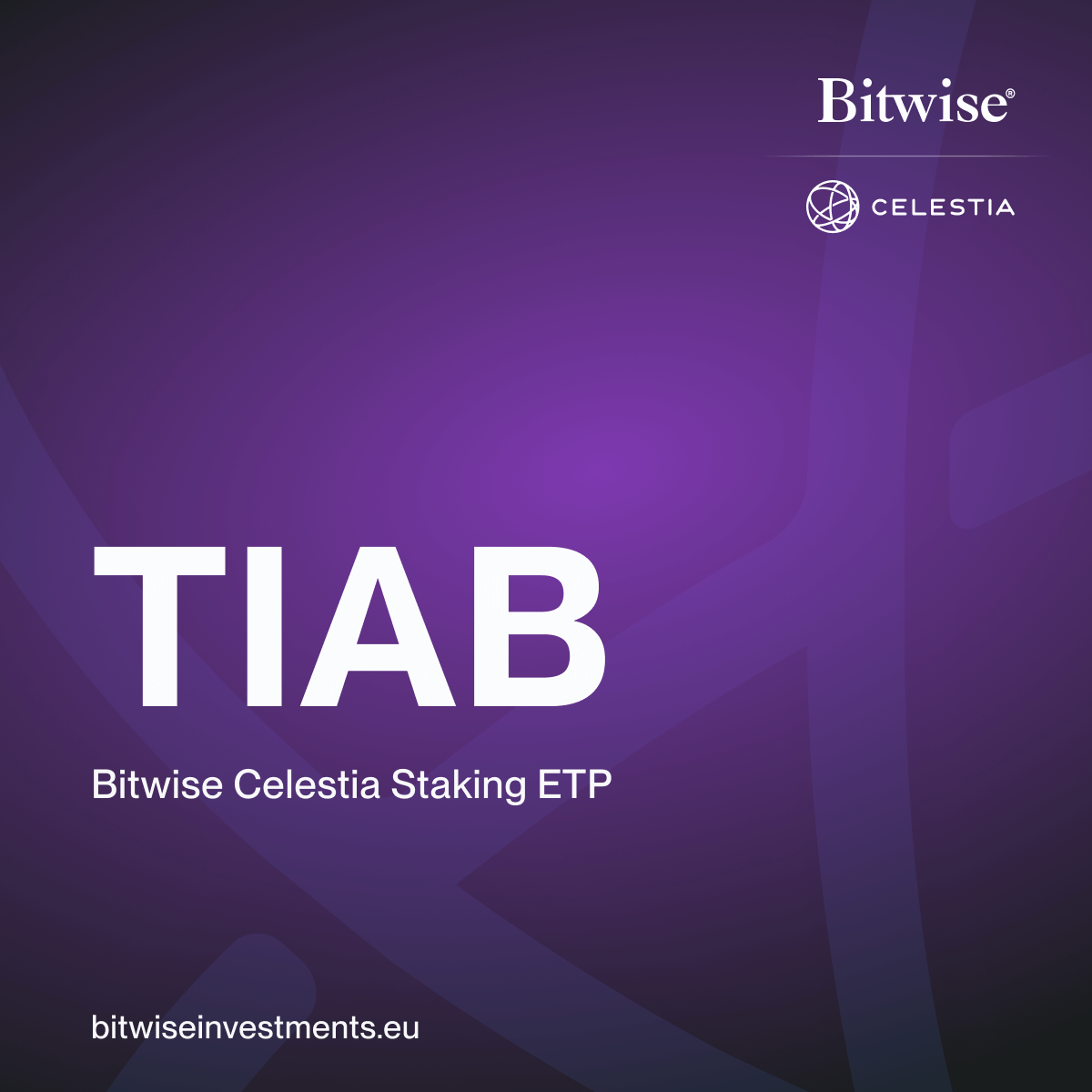 Bitwise in Europe tweet media