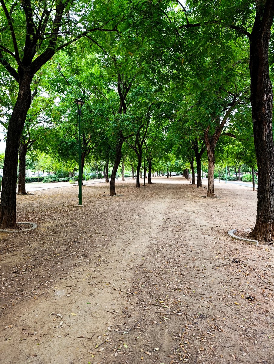 ordoez_miguel's tweet photo. Vamos a probar la magia de X. 
Me acabo de encontrar estás llaves cuando paseaba  al perro por el bulevar que hay frente a la barriada de la Oliva . 
Pues eso , que las tengo yo.
Si no aparece el dueño/a las llevaré a objetos perdidos en el Prado de San Sebastián.
Vengaaaaa😀 https://t.co/aeZ3BYv2cM