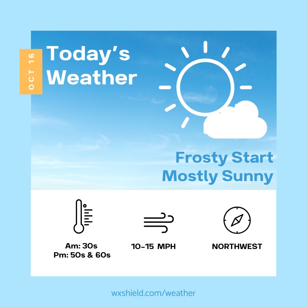 Christy Shields tweet media