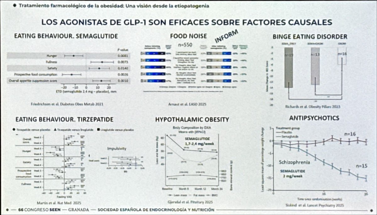 Eficacia de terapias basadas en GLP-1 y GLP-1/GIP sobre los factores causales de la obesidad. #SEEN2025 #EmbajadorSEEN #foodnoise