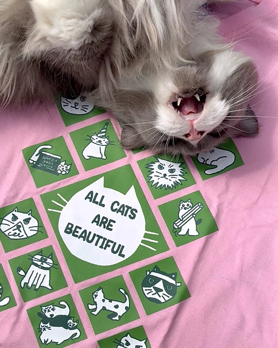 tfoolswhodream's tweet image. Thinking of making this shirt for Artket, would you guys buy it…? *kucing abu di dalam foto gak termasuk ya