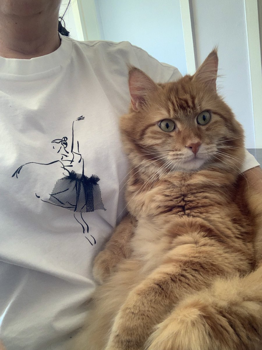 Dünya kedi günün kutlu olsun Leo ❣️🧿