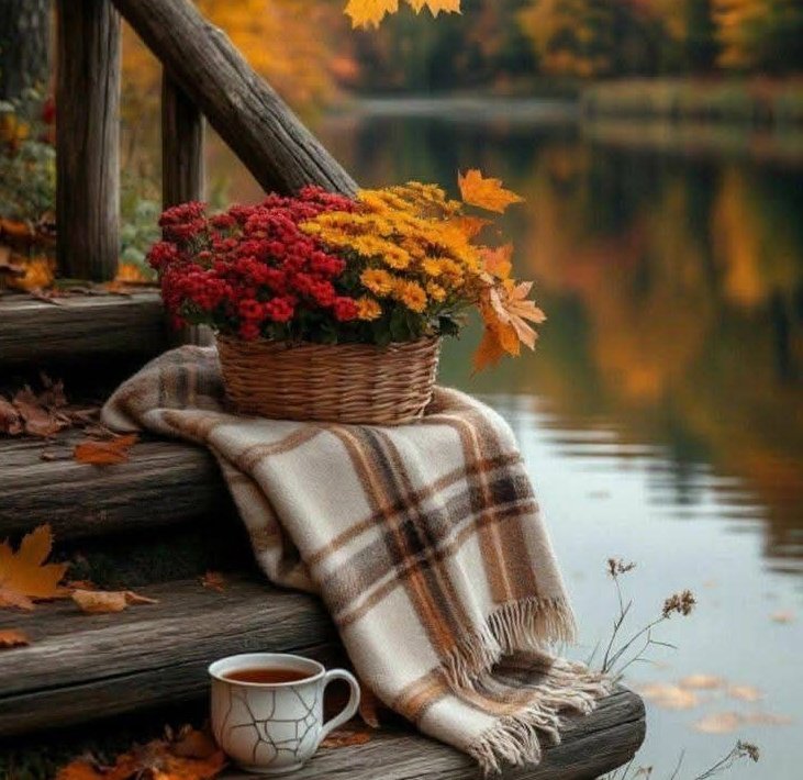 كلما تركت مسافة بينك وبين الآخرين نجوت
ف القرب لم يعد يجلب الا الأذى🍁🌼🍂