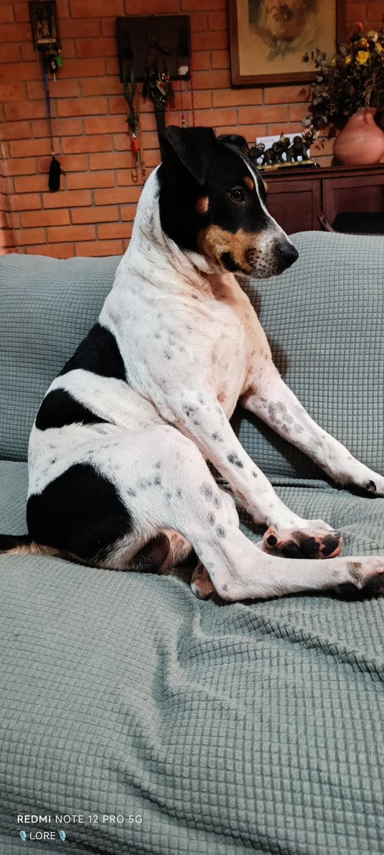 Buen día Orientales; 16 grados,  hace un rstito cayó un chubasco ¡ vamos!