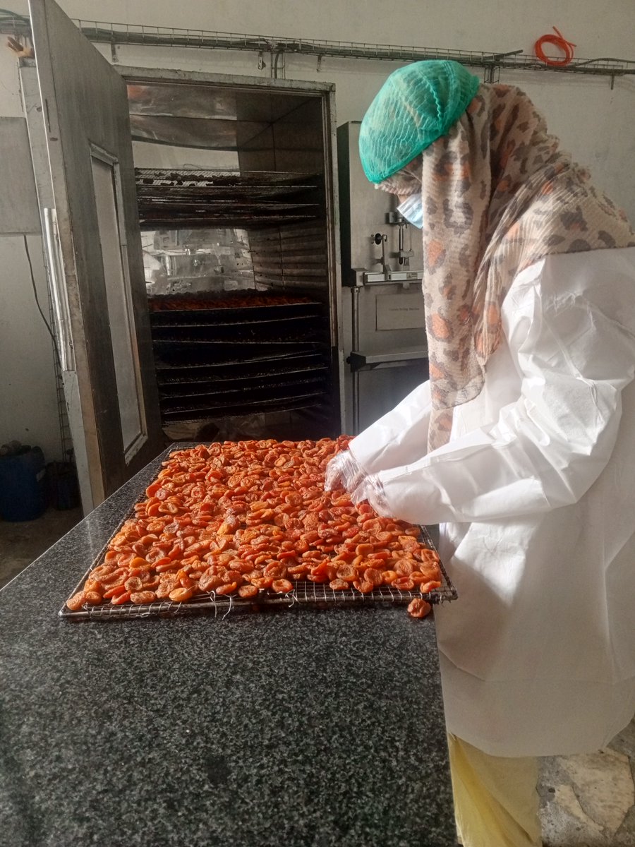 Zero Hunger Private Sector Pledge tweet media