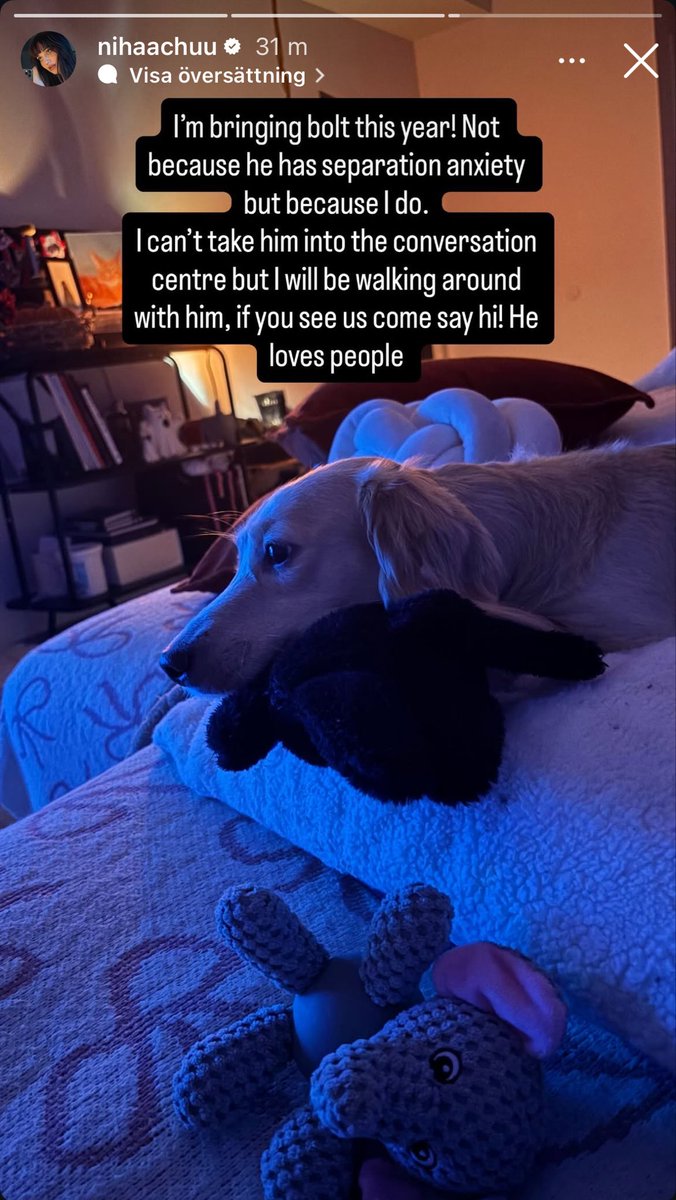 If anyone’s going to twitchcon, Niki will be bringing bolt omgggg