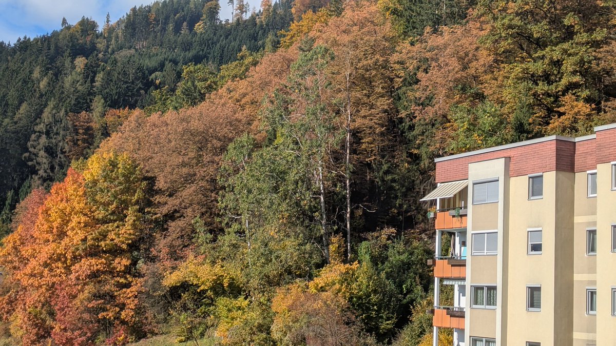 Chris Heilinger (@chris_heilinger) on Twitter photo Today, I have a few autumn impressions for you. ๐๐๐  
Unfortunately, I'm not the best photographer. ๐๐
 Have a nice day, X friends. โ Today, I have a few autumn impressions for you. ๐๐๐  
Unfortunately, I'm not the best photographer. ๐๐
 Have a nice day, X friends. โ