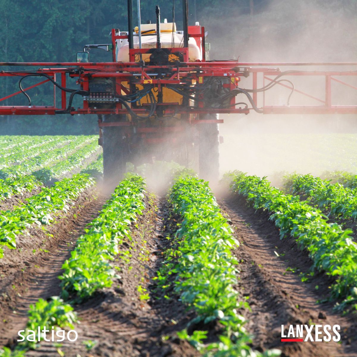 #WorldFoodDay serves as a reminder that hunger and food insecurity are global challenges we must face head-on. Discover our custom-made active ingredients and intermediates that help respond to shifting agricultural challenges: lanxess.com/en/company/cor…