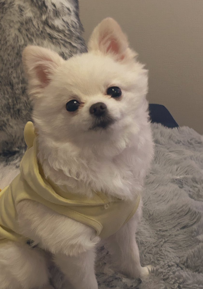 12月のシフト
明日までにホットペッパーに
反映させていくので

12月のご予約希望ある方は
ご連絡下さい☺️

既に埋まってる日時もあり
ありがたいです…🙏🏻✨
年内の締めくくりにと
選んでいただけること幸せに思います😌🫧