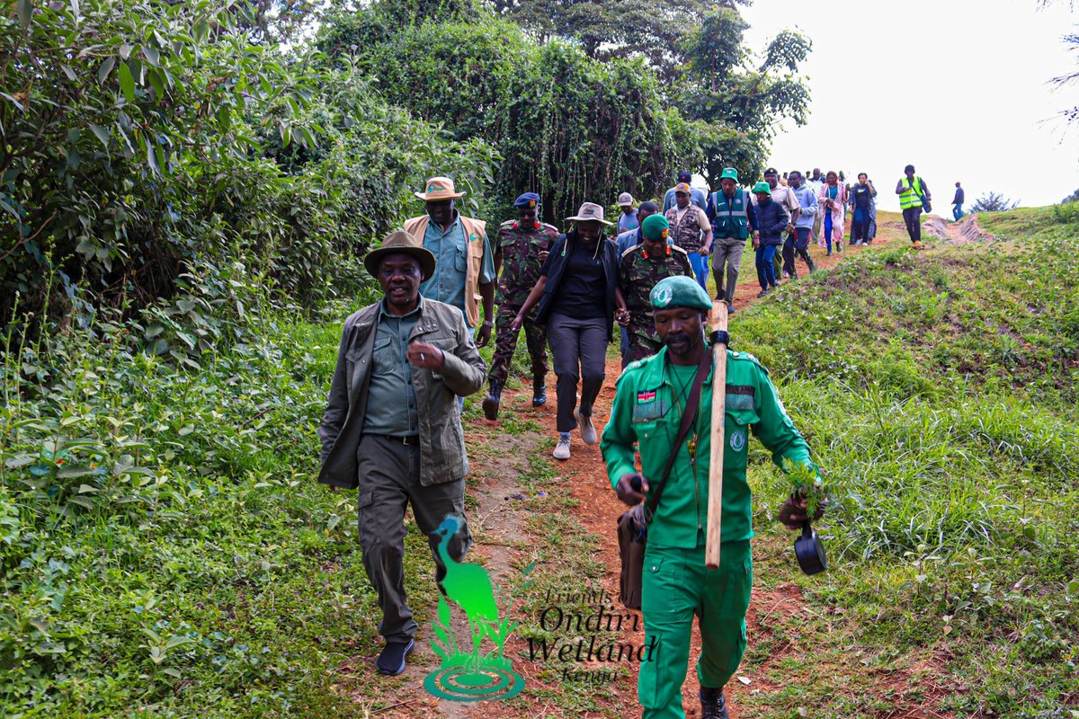 KEAN International 🇰🇪🌍🌱🕊 tweet media