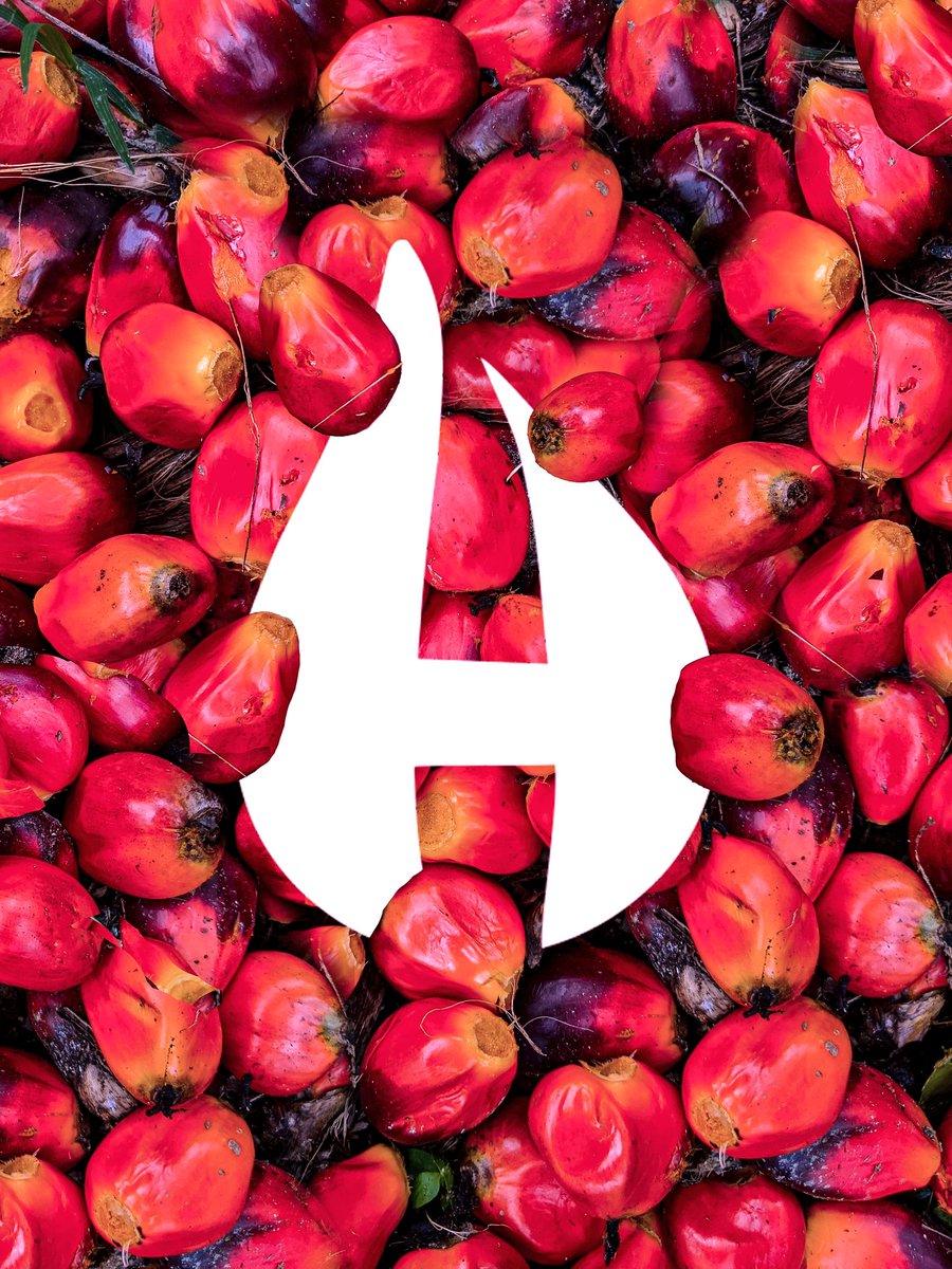 logoladystudio's tweet photo. A glimpse into my latest design journey with Hamlet Palm Oil.
This project was all about celebrating the rich tradition behind palm oil production while creating a modern, recognizable visual identity. 

#Branding #PackagingDesign #PalmOil #LogoDesign #HamletPalmOil https://t.co/pK8X8r2o99