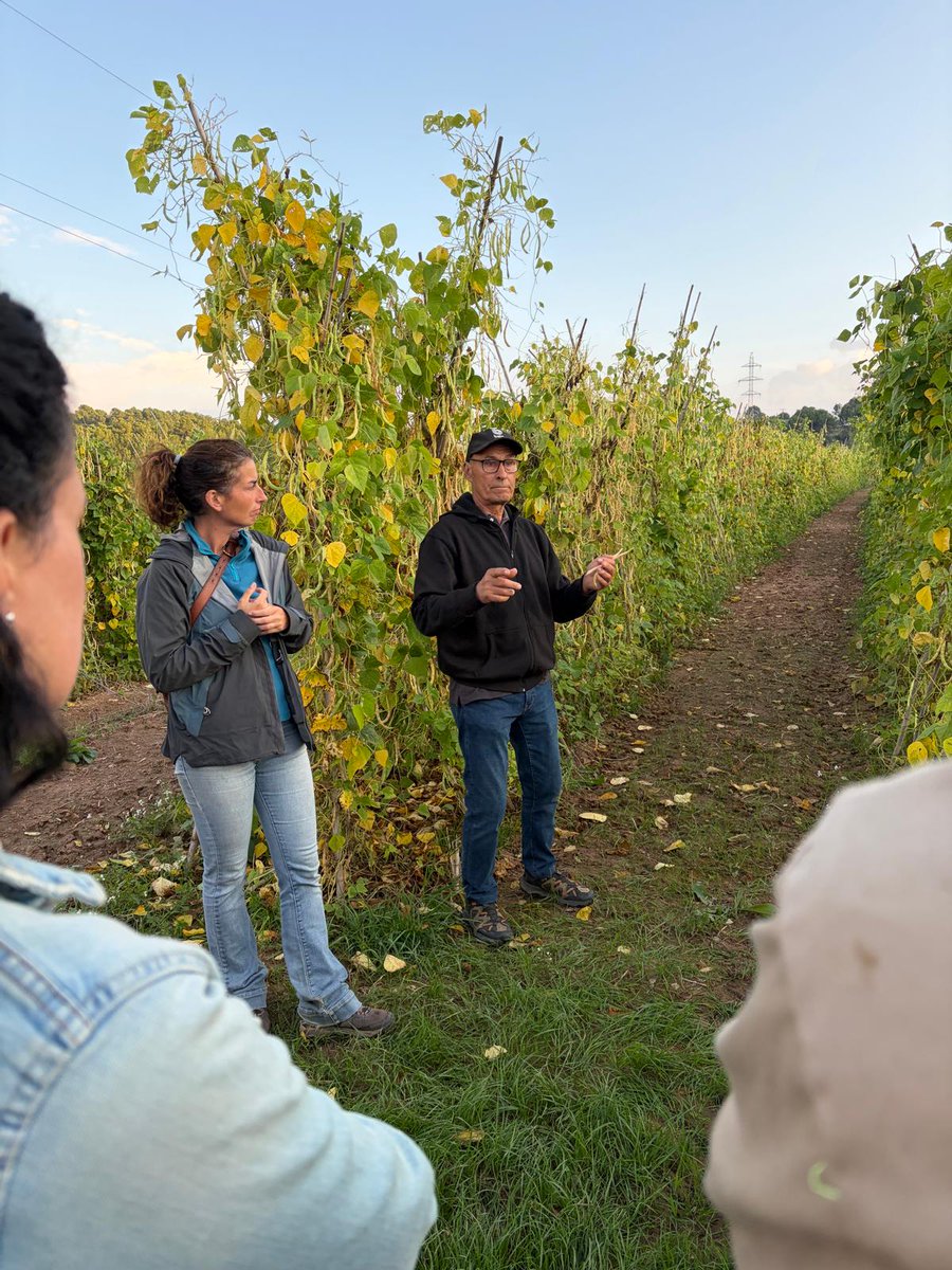Consell Comarcal del Bages tweet media