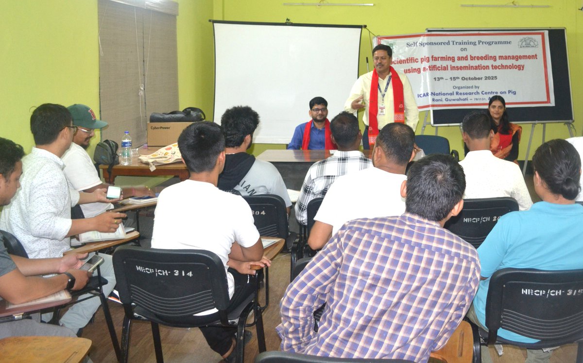 nrcpig's tweet photo. A three-days Self Sponsored training programme on “Scientific Pig Farming and Breeding Management Using Artificial Insemination Technology” was organized at ICAR-National Research Centre on Pig, Rani, Guwahati, from October 13–15, 2025 for enterpreneurs.
@icarindia @AgriGoI https://t.co/QXmLsOmmYS