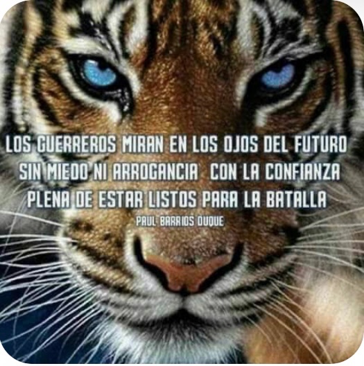 warrioraco's tweet photo. @MariaFdaCabal Y, ni siquiera van a estar en la segunda vuelta, si es q hay segunda vuelta https://t.co/Y6w5w68ZvG