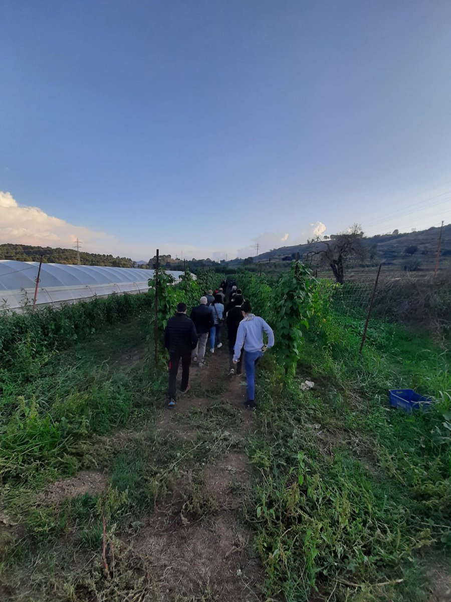 🔍Ahir vam conèixer de prop el cultiu de la mongeta del ganxet i el nou programa d’assessoraments GRATUÏTS de l’ADV Bages i la Catalunya Central: 3 visites per a 7 nous pagesos! 
👩‍🌾 Amb Bàrbara López (ADV) i Enric Casasayas (pagès productor de mongeta del ganxet a Les Arnaules).