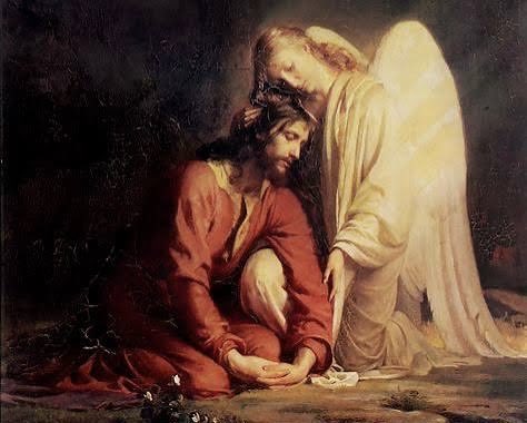 Butr 🧠 (IQ/acc) tweet media