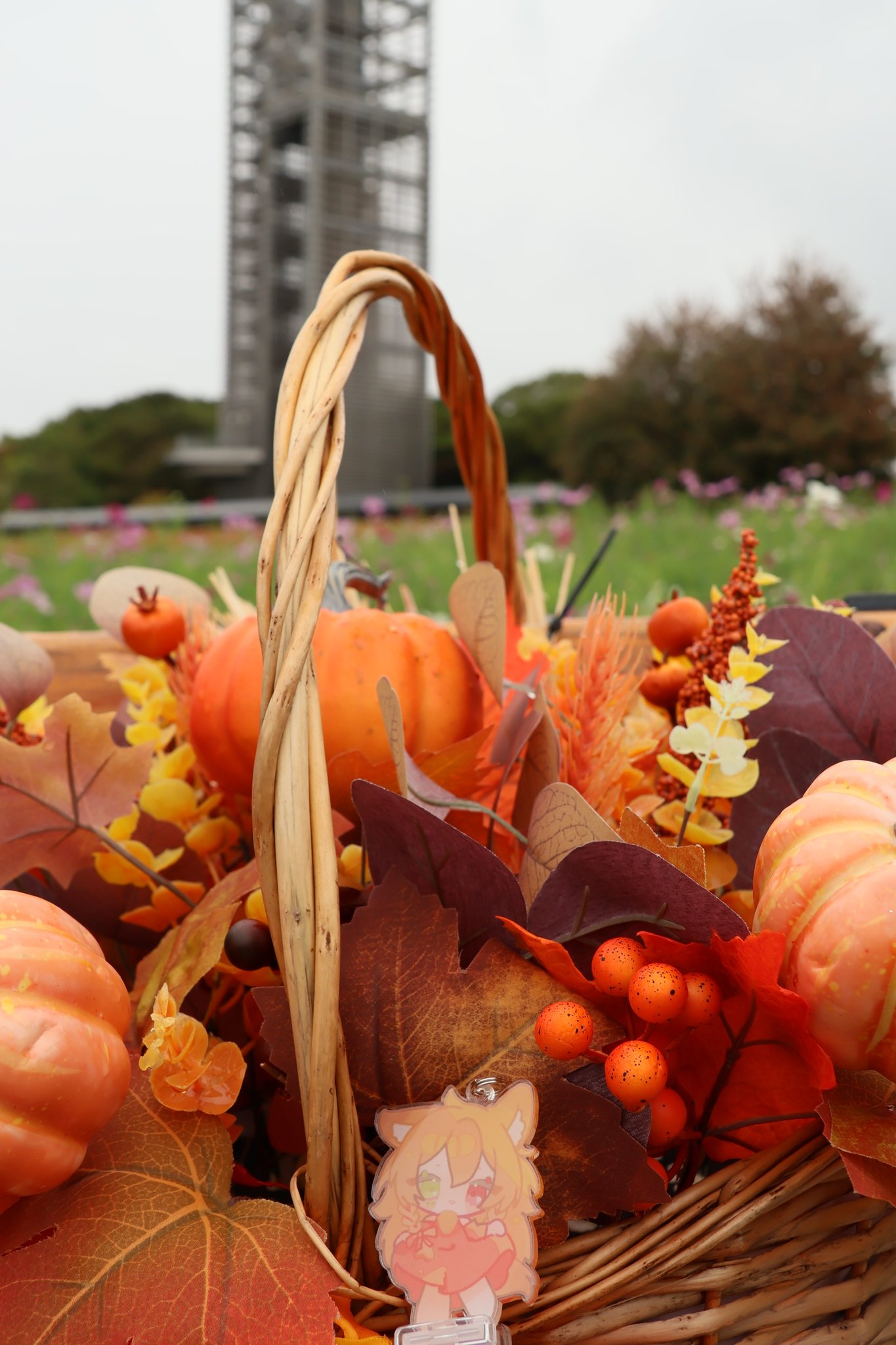 紅より(あかより) on X: 