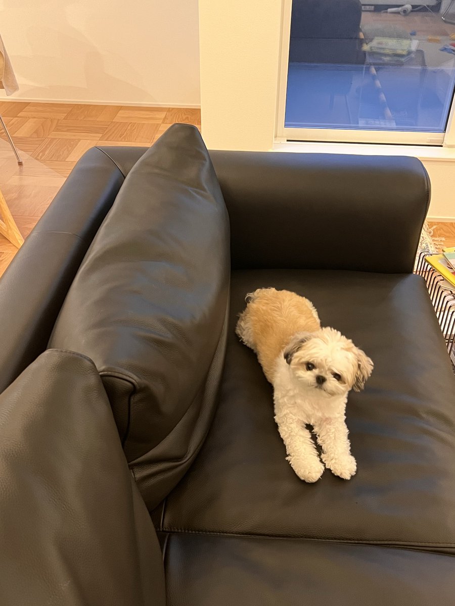 たむたむ (@tamtam_kun) / Posts / X