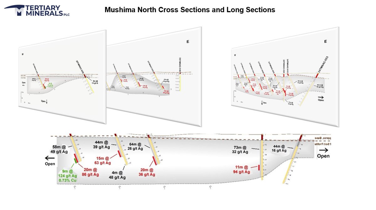 Target A1, our recent silver-copper-zinc discovery within the Mushima North Project, #Zambia, now has a surface footprint of approximately 450m by 400m and remains open to the north/northwest, south/southeast and at depth.

#exploration #mining #TYM $TYM.L $TYM