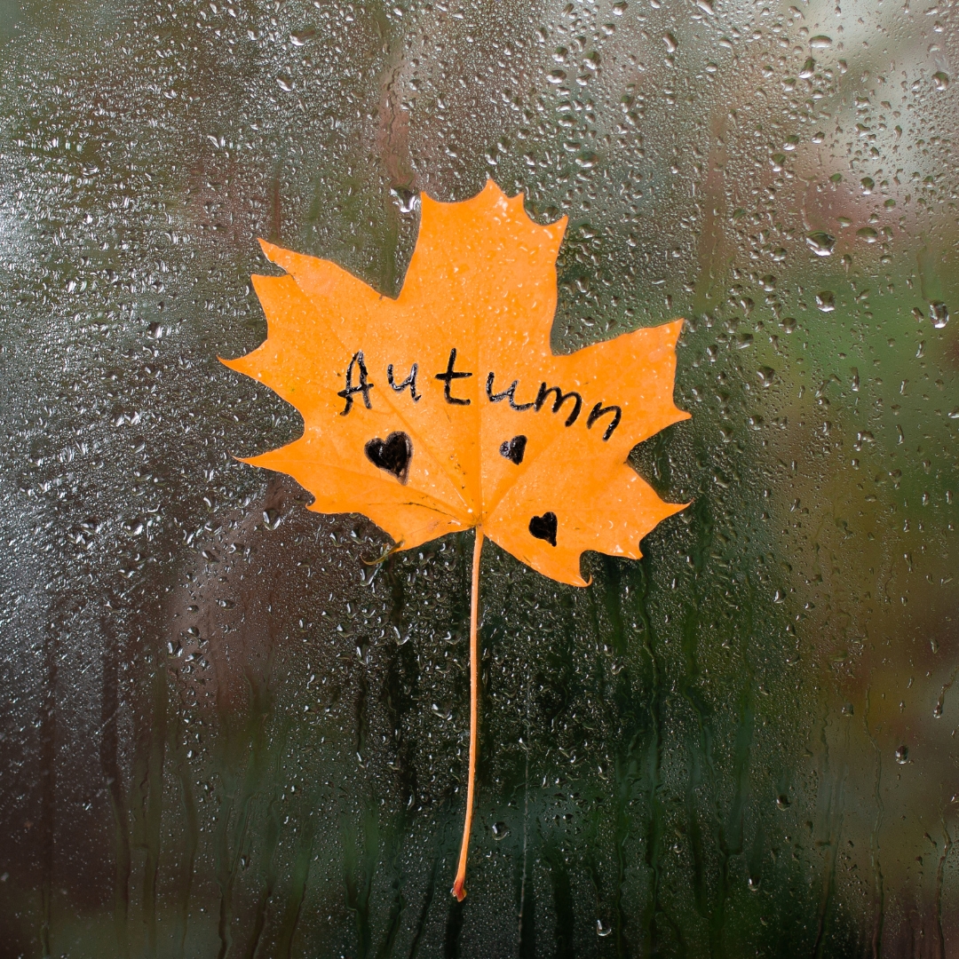 🍂 Stay prepared this autumn and winter.
Keep an eye on the forecast and look out for @MetOffice weather warnings.

During our free consultations, we’re giving out warm kits and power cut kits to help you.

Get in touch today to find out more. 💛
#WinterReady #EnergyExperts