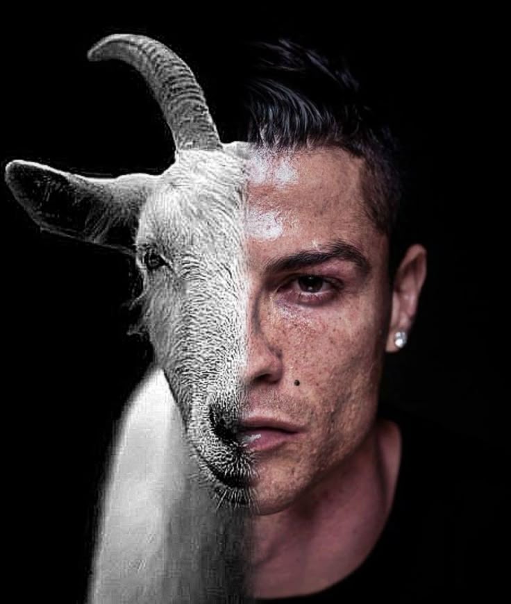 techwithdavid's tweet image. GM,
day 6 of posting a goat image until snapshot
snapshot's today so I decided to post the real GOAT
I'm not sorry if this is not your Goat
fix up
or maybe pivot @GOATRollup so you can see the light
