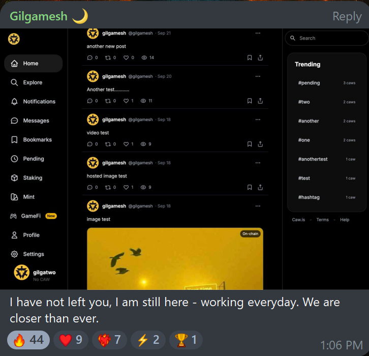 I am still here - Gilgamesh
Trust the process -  Believe in the vision - CAW