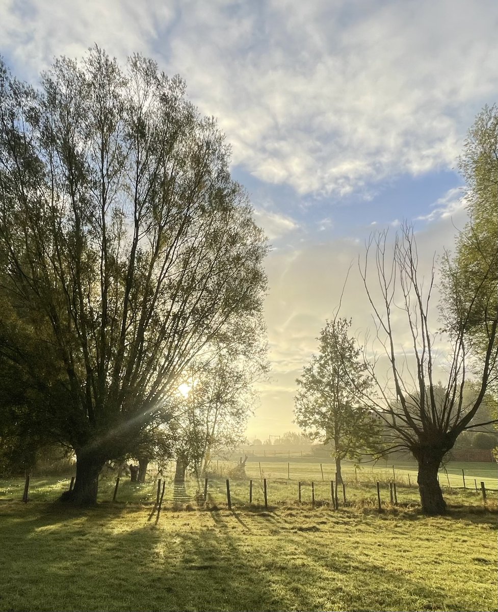 Mistig zonnetje breekt door in  Herzele, 9.04u Paul Eeckman #vrtweer