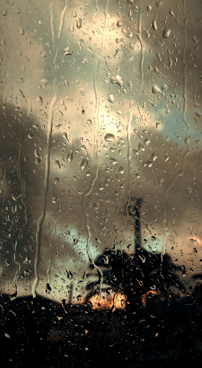 Samah (@samah_bel63249) on Twitter photo 