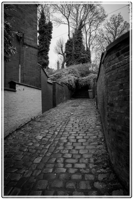 photos_dsmith's tweet photo. #Stockport #Hilltop has some #fascinating #backstreets and #Victorian #houses. This #image was shot in #blackandwhite showing the #cobbled #street #streetphotography #photography. See more #photos like this or to #book @photos_dsmith for #yourself visit https://t.co/VilcfnO0ps https://t.co/zL4Pu5HZ28