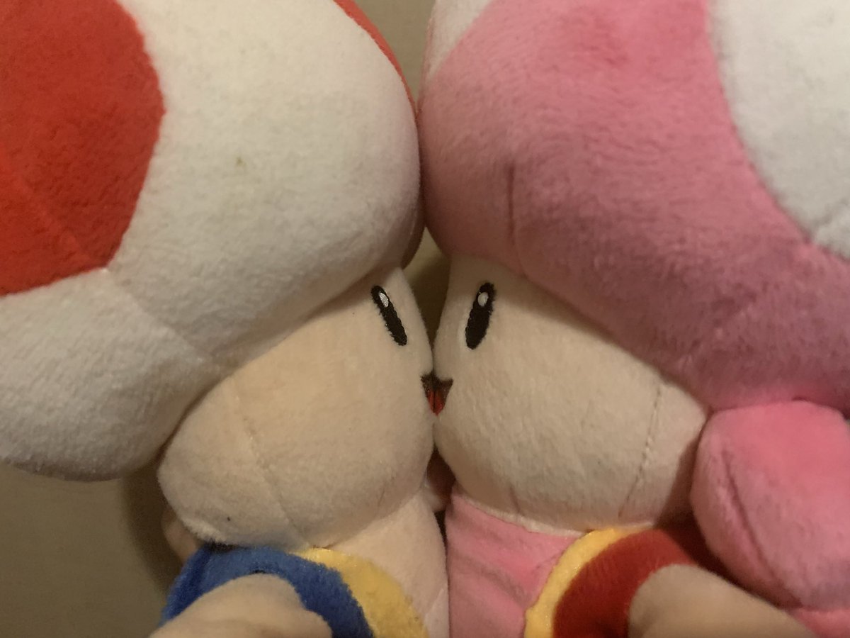 ToadGuardian120's tweet image. Literally!