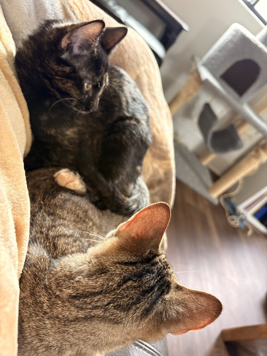 I love my sweet girls sm 😭😭