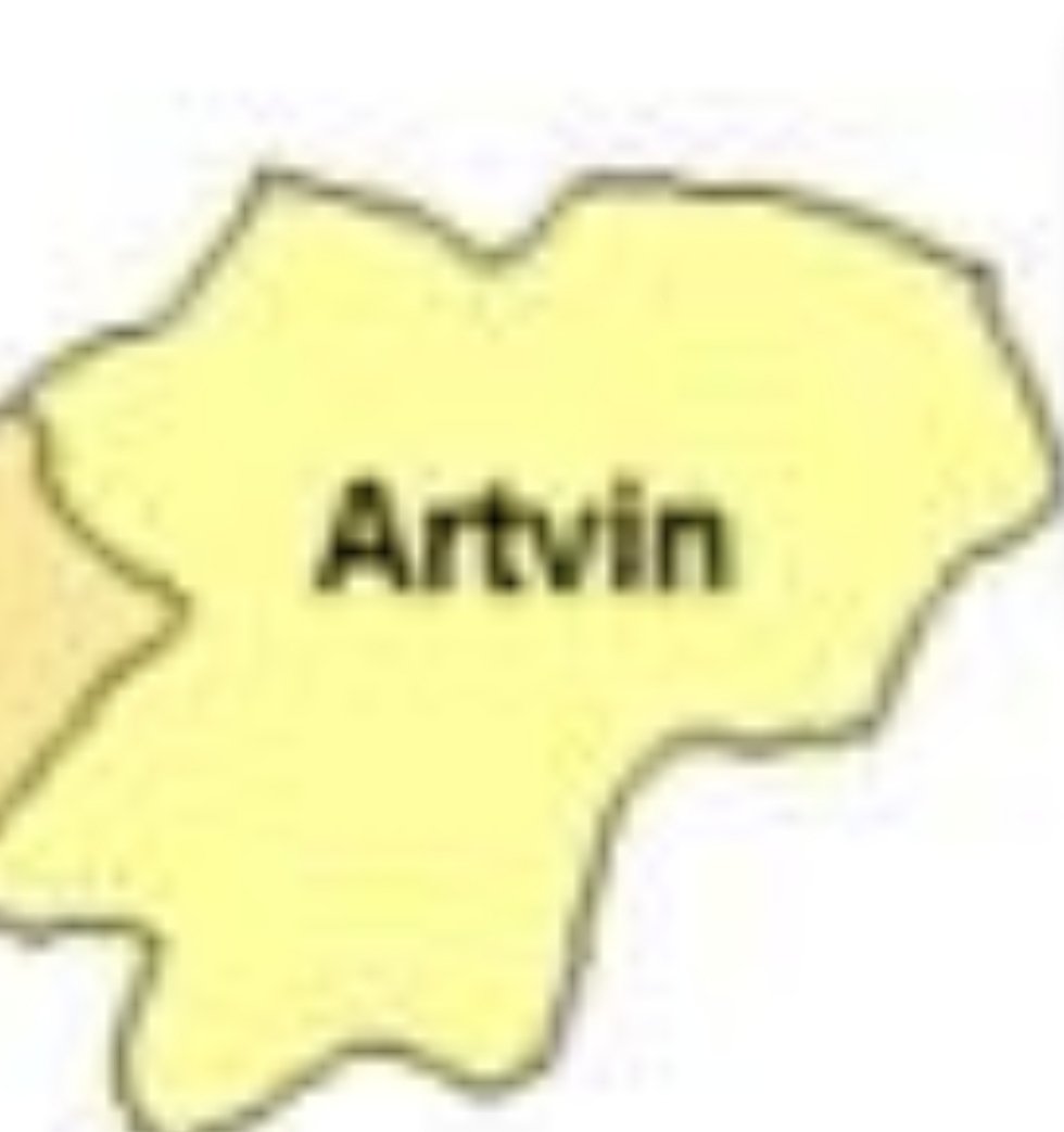 Diğerlerini at çöpe