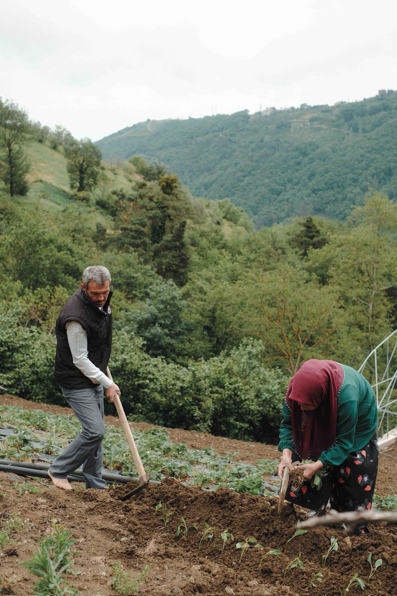 ABBaskanligi's tweet photo. 🥦 Gıdaya saygı, yaşama saygıdır.
#SEEDguard ile ata tohumlarımızı koruyor,
#FOODWISE ile israfı azaltıyoruz.
@ABBaskanligi olarak #DünyaGıdaGünü’nde sürdürülebilir gıda için çalışıyoruz. https://t.co/4MGkuNzjEE
