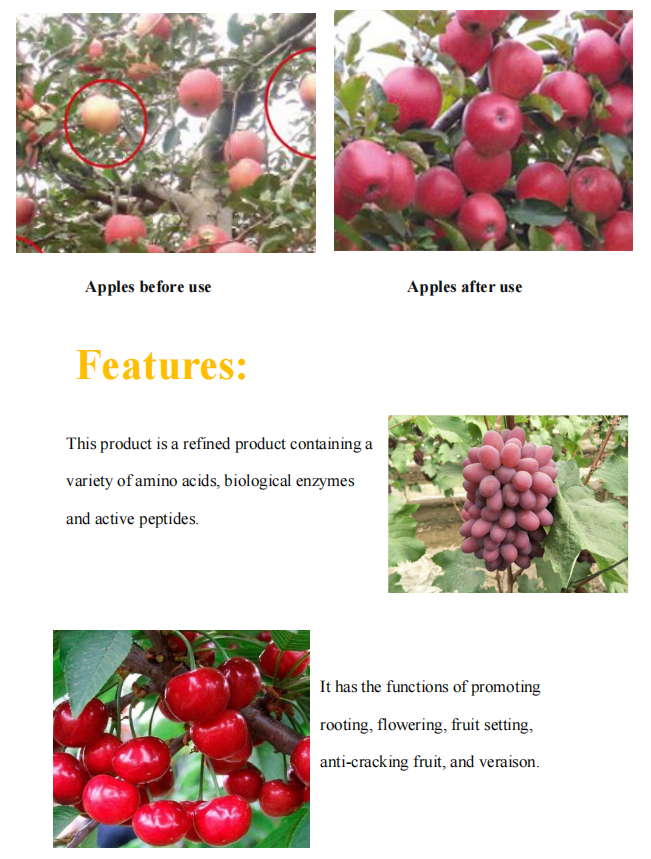 chufangagri's tweet photo. Amino acid-containing water-soluble fertilizer-Liquid veraison fertilizer
Increase sweetness, Veraison, Brighten, Bigger, Increase production, Increase income. https://t.co/TdKCfs3lSQ