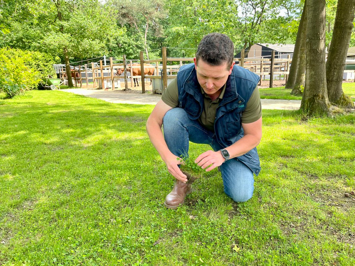 🍀EUROGRASS TRIFOLINO combineert meerdere hoogwaardige   grassoorten met microklaver. Zo ontstaat een sterke, veerkrachtige en   onderhoudsarme zode die ook in drogere perioden vitaal blijft.' Lees meer   over EUROGRASS Trifolino: bit.ly/3IEKg52