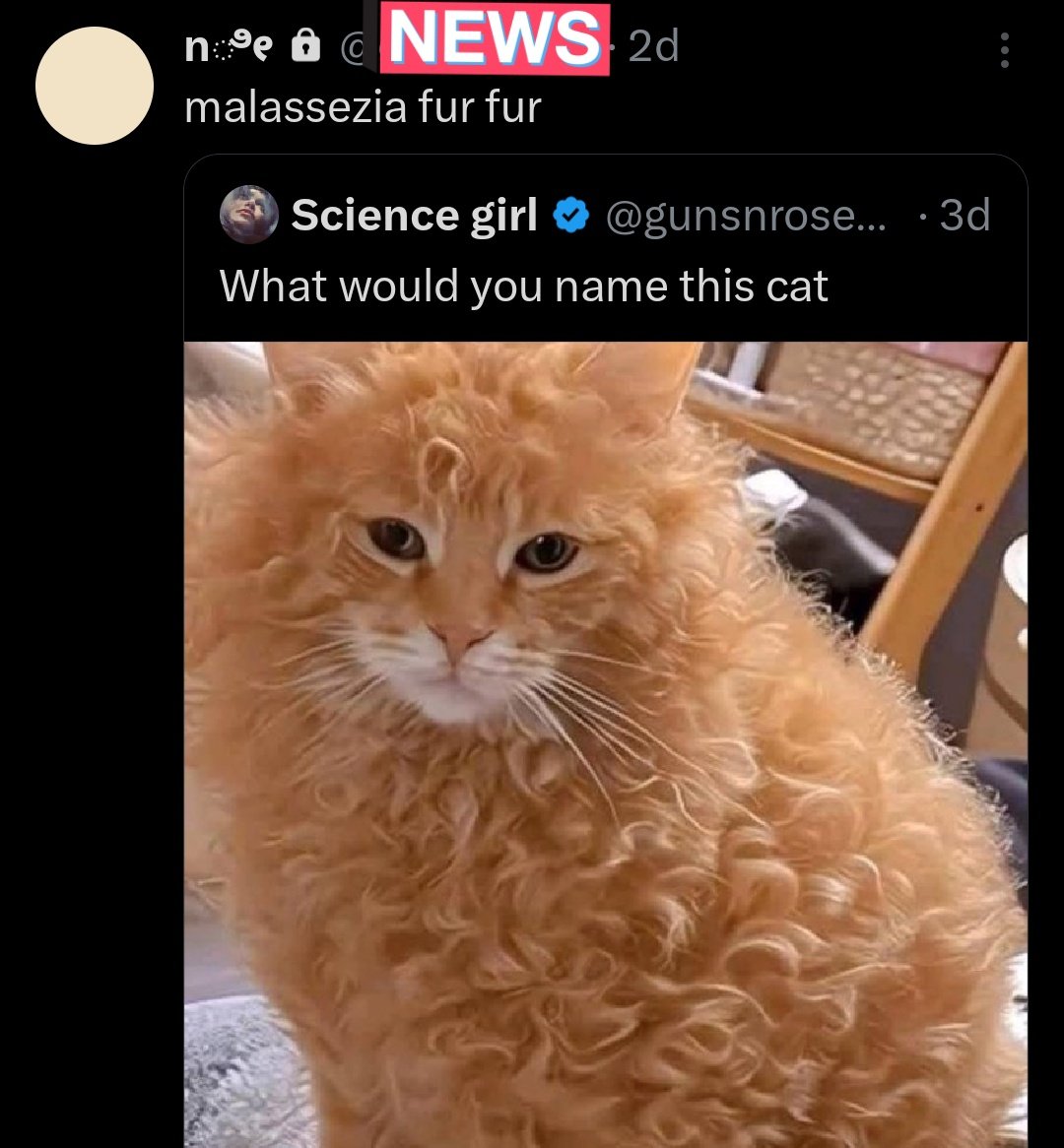 raqeeela's tweet image. IM SORRY