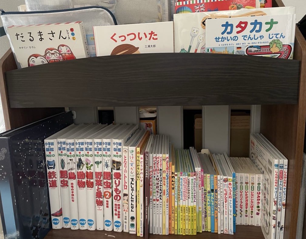 【三世代で育む時間】

絵本と図鑑に囲まれて育つ息子👦
気づけば、ひらがな・カタカナ・数字が読めるように✨

本への投資は惜しまない。
最近は図鑑で虫や動物の細かい種類まで覚えていてビックリ！

祖父母・パパ・ママが息子の要望で交代で読み聞かせ。
三世代で学びを楽しむ、大切な時間です🌼