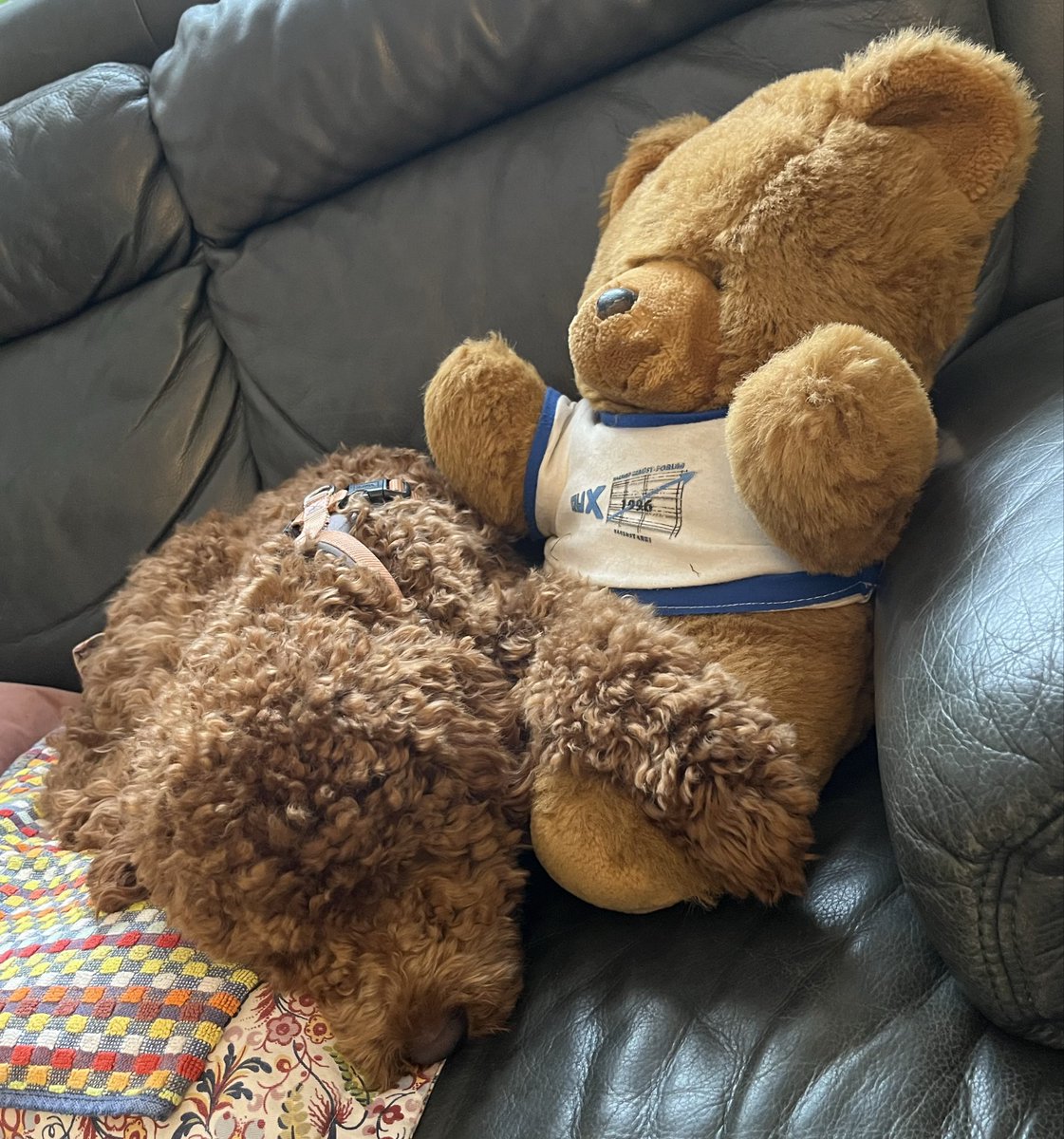 Siesta mit meinem besten Freund.